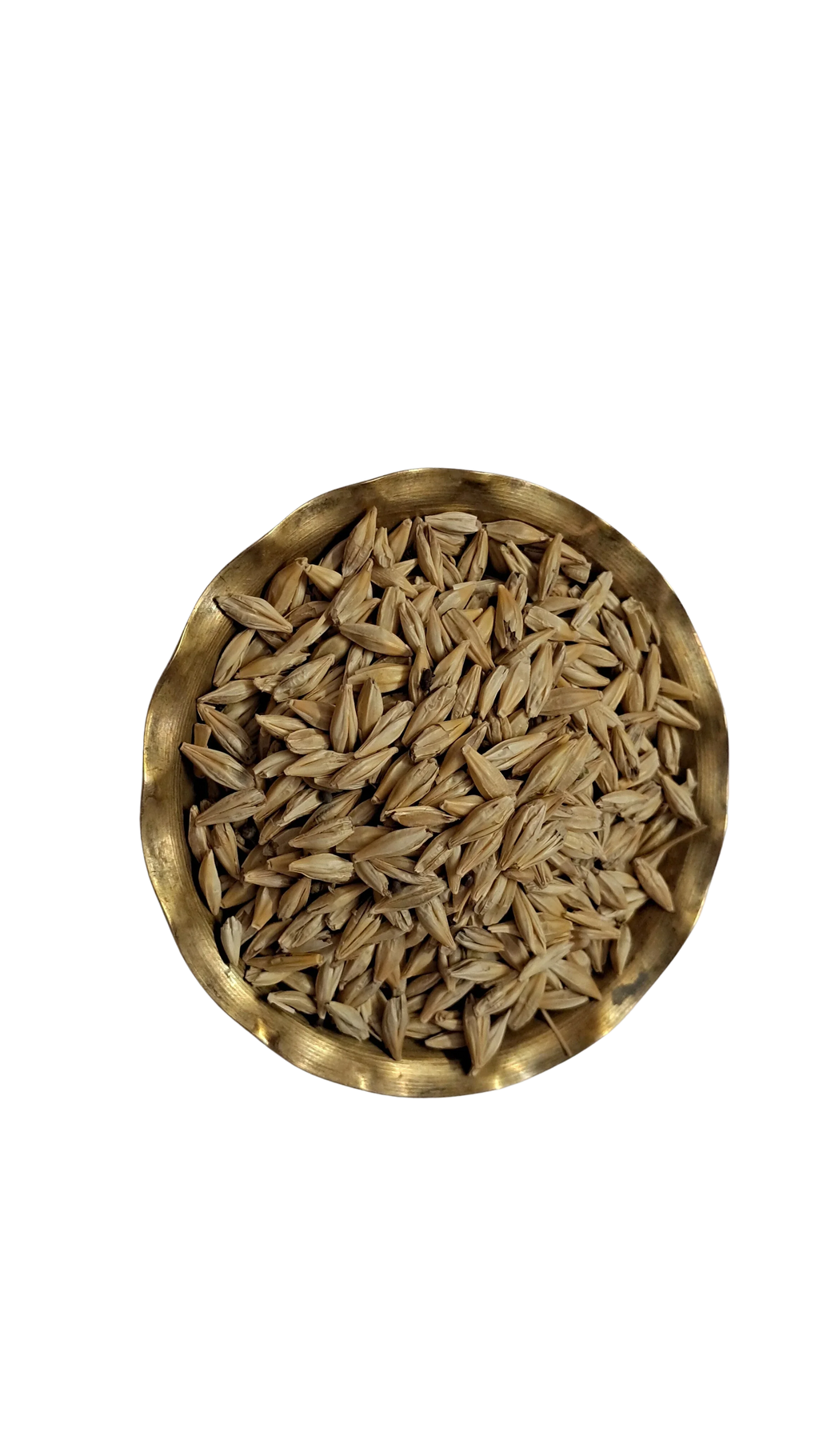 Barley