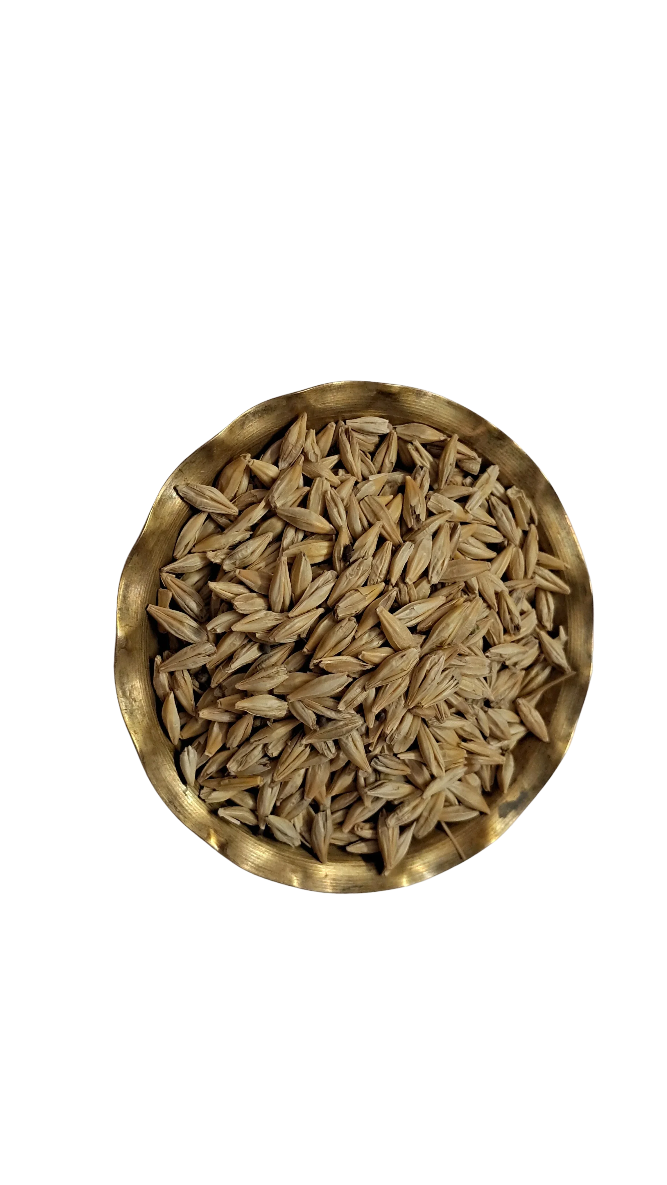 Barley