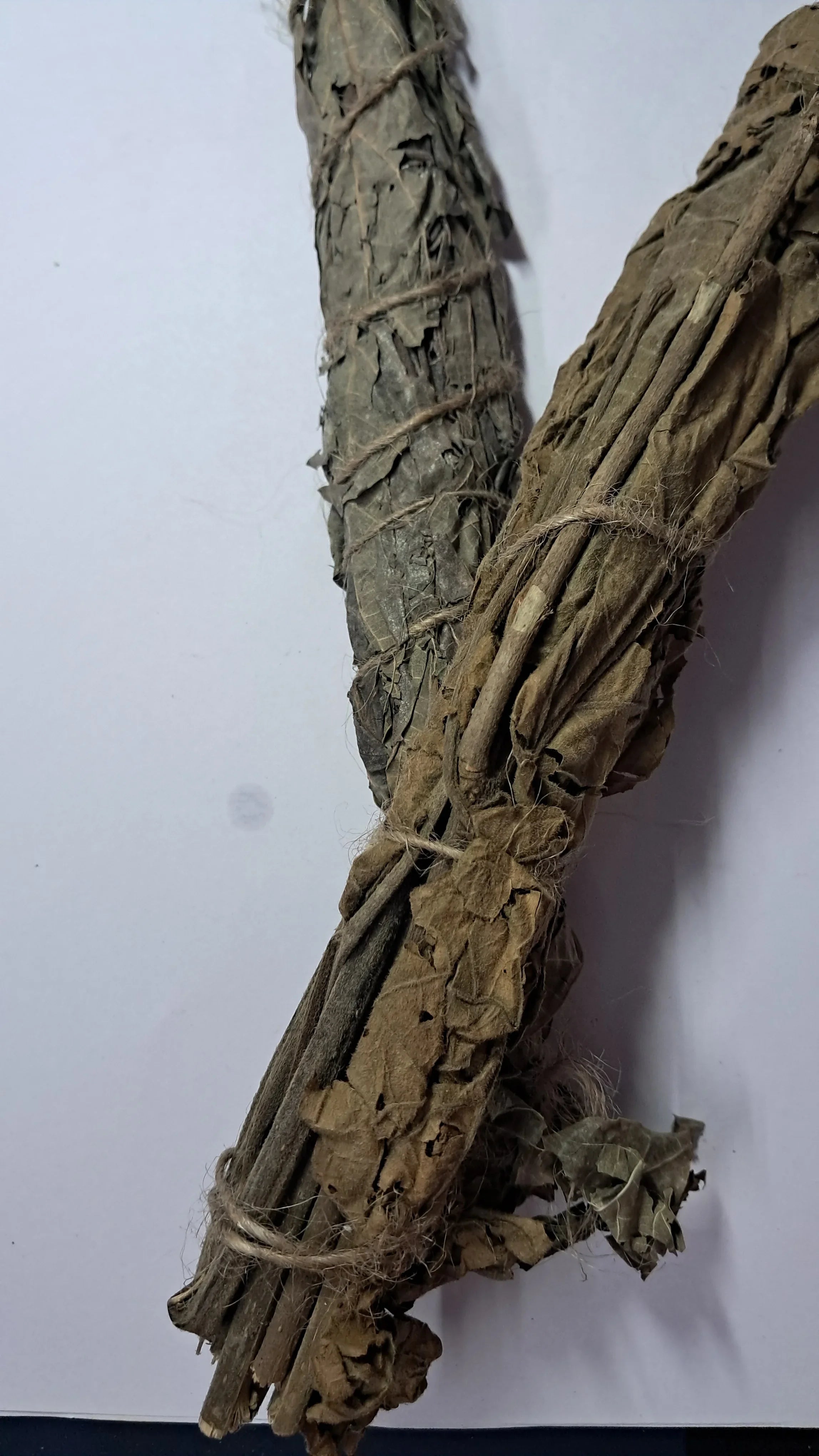 Somit Pata (1 Bandil)